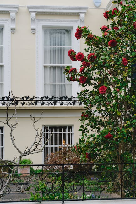 Outside view of a classic London townhouse with a white façade, featuring a large double-hung sash window with sheer curtains on the upper floor and a smaller ground-floor window protected by a white